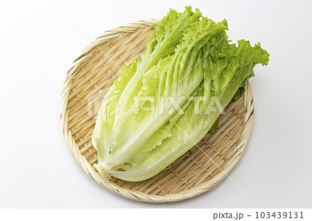 笊に乗ったリーフレタス 白バック 笊に乗ったリーフレタス 白バック 103439131