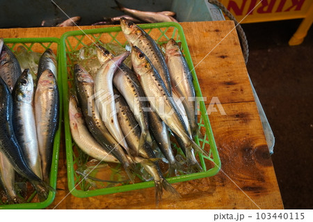 「魚市場(イワシ)」 「魚市場(イワシ)」 103440115