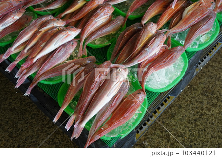 「魚市場(方々)」 「魚市場(方々)」 103440121