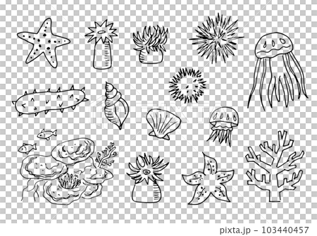 圖集的海洋生物 103440457