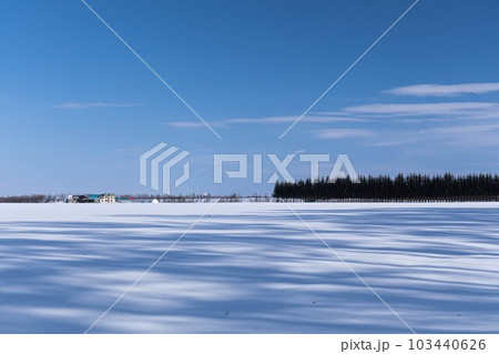 国鉄時代の幸福駅から見た雪原の蒼い影 103440626