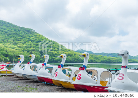湖畔に並ぶスワンボート　赤城山大沼 103440660