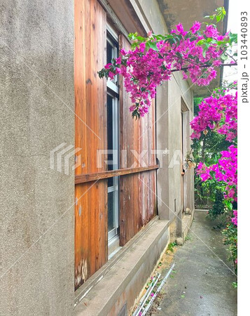 台風対策で雨戸 103440893