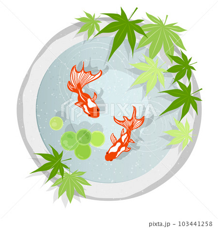 ノーマル版真上から見た石鉢で泳ぐ金魚のアイコン 103441258