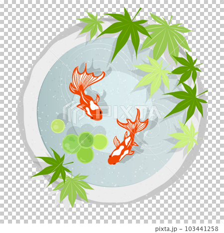 ノーマル版真上から見た石鉢で泳ぐ金魚のアイコン 103441258