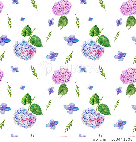 hydrangea flower watercolor patern .Watercolor illustration hydrangea hydrangea flower watercolor patern .Watercolor illustration hydrangea 103441306