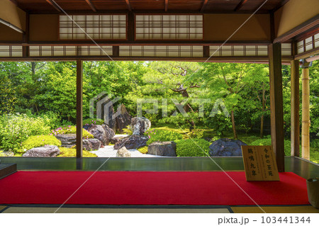 建仁寺塔頭 霊源院 新緑の季節(京都府京都市東山区) 建仁寺塔頭 霊源院 新緑の季節(京都府京都市東山区) 103441344