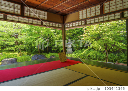 建仁寺塔頭　霊源院　新緑の季節（京都府京都市東山区） 103441346