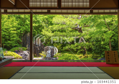 建仁寺塔頭 霊源院 新緑の季節(京都府京都市東山区) 建仁寺塔頭 霊源院 新緑の季節(京都府京都市東山区) 103441351