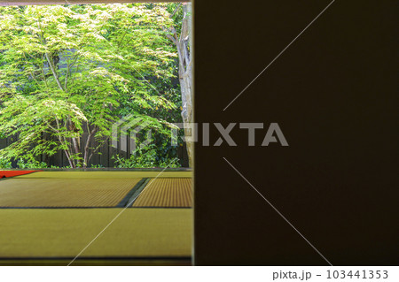 建仁寺塔頭 霊源院 也足軒から眺める庭(京都府京都市東山区) 建仁寺塔頭 霊源院 也足軒から眺める庭(京都府京都市東山区) 103441353