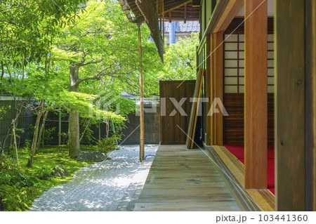 建仁寺塔頭 霊源院 新緑の季節(京都府京都市東山区) 建仁寺塔頭 霊源院 新緑の季節(京都府京都市東山区) 103441360