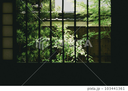 建仁寺塔頭　霊源院　格子窓から見る庭（京都府京都市東山区） 103441361