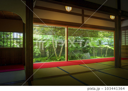 建仁寺塔頭　霊源院　新緑の季節（京都府京都市東山区） 103441364