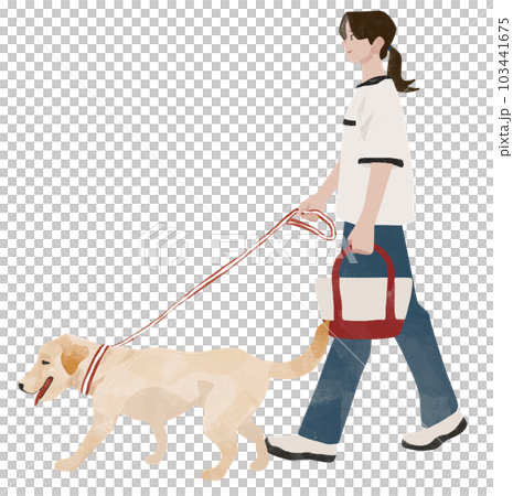 Labrador retriever walking with woman, owner and dog 103441675