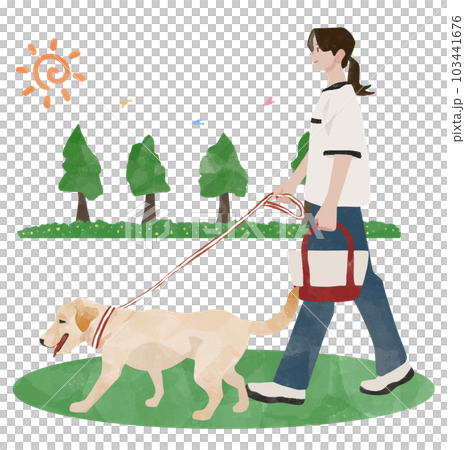 Labrador retriever walking in the park with woman, owner and dog 103441676