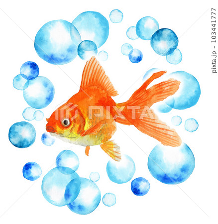 アナログ水彩水玉の輪の中に浮かぶ金魚・オレンジ色の琉金 アナログ水彩水玉の輪の中に浮かぶ金魚・オレンジ色の琉金 103441777