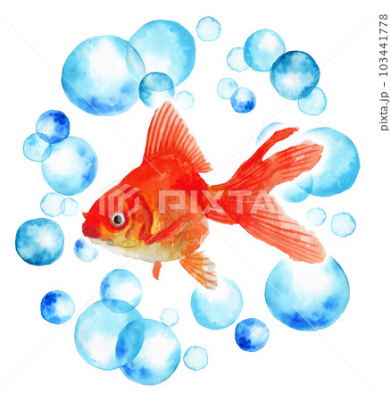 アナログ水彩水玉の輪の中に浮かぶ金魚・赤い琉金 アナログ水彩水玉の輪の中に浮かぶ金魚・赤い琉金 103441778