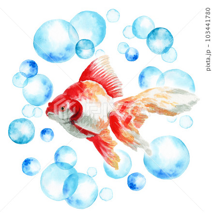 アナログ水彩水玉の輪の中に浮かぶ金魚・赤白まだらの琉金 103441780