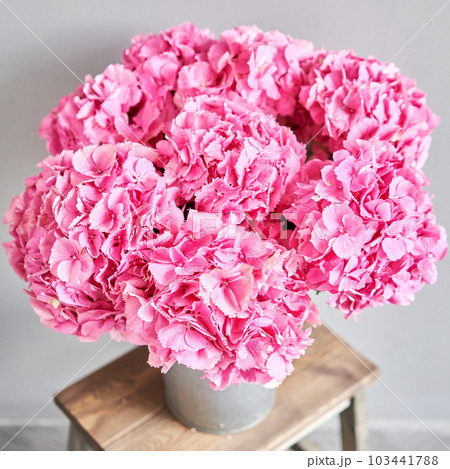 Beautiful pink hydrangea flowers in a vase on a table . Bouquet of light pink flower. Decoration of home. Wallpaper and background. fuchsia color 103441788