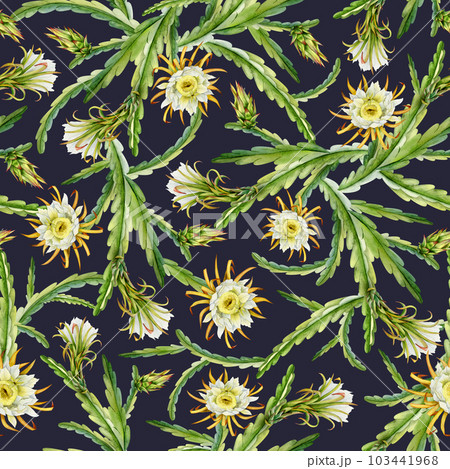 Dark blue and green blooming cactus branches with flowers and buds watercolor seamless pattern. Realistic botanical background of flowering exotic dragon fruit for summer tropical prints and fasbrics 103441968