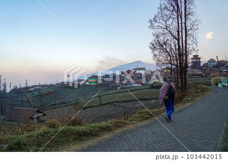 ブロモ山の観光拠点、チェモロラワンの村を歩く男性の風景 103442015