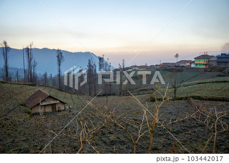 ジャワ島のとある村の素朴な風景 ジャワ島のとある村の素朴な風景 103442017