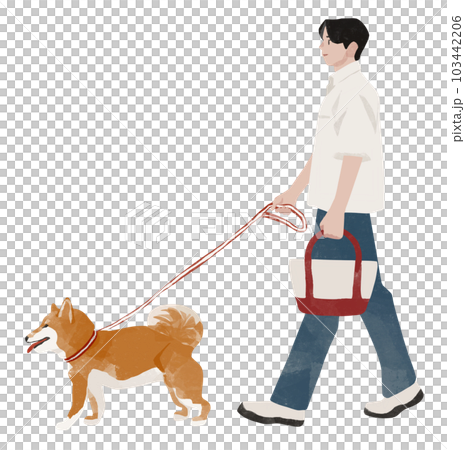 柴犬與男人、主人和狗一起散步 103442206