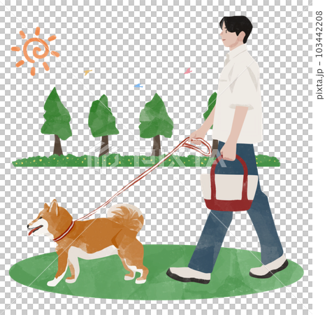 Shiba Inu walking in a sunny park with a man, the owner and his dog Shiba Inu walking in a sunny park with a man, the owner and his dog 103442208