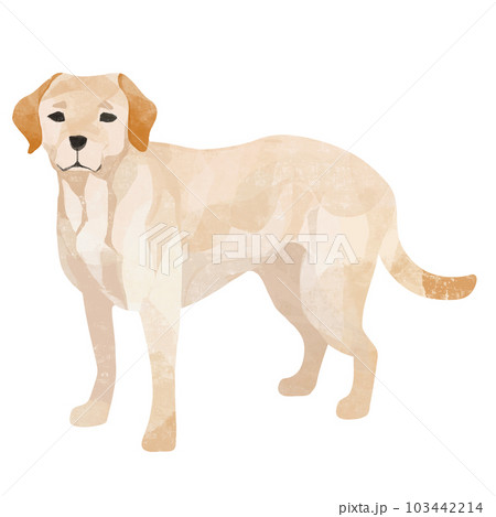 かわいいラブラドール・レトリバー、アイコン素材 103442214