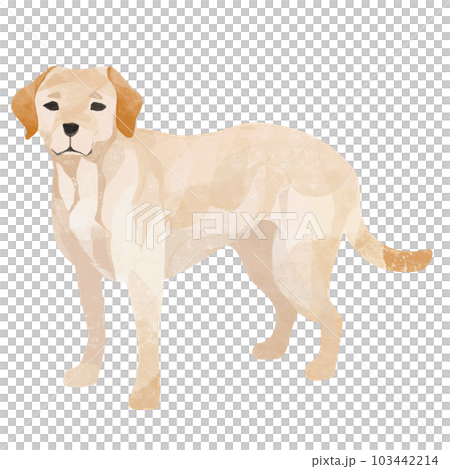 かわいいラブラドール・レトリバー、アイコン素材 103442214