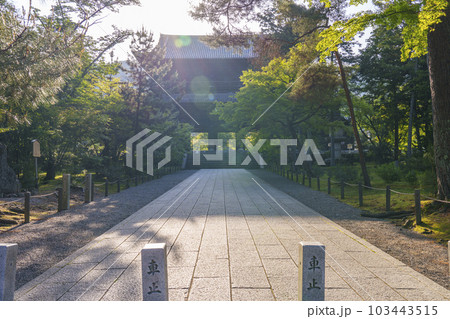 京都　早朝の南禅寺三門　新緑の季節 103443515