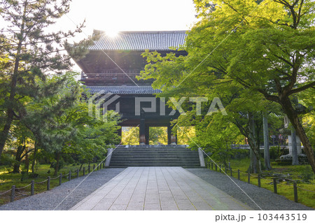 京都　早朝の南禅寺三門　新緑の季節 103443519