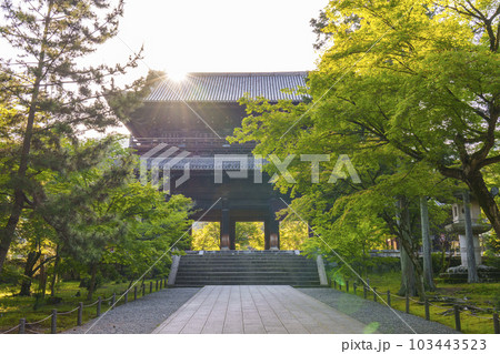 京都　早朝の南禅寺三門　新緑の季節 103443523