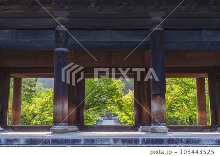 京都　早朝の南禅寺三門から法堂を望む　新緑の季節 103443525