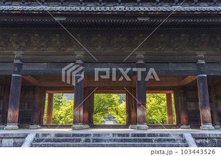 京都　早朝の南禅寺三門から法堂を望む　新緑の季節 103443526