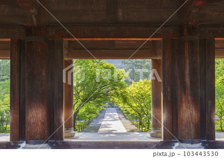 京都　早朝の南禅寺三門から法堂を望む　新緑の季節 103443530