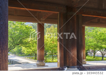 京都 早朝の南禅寺三門 新緑の季節 京都 早朝の南禅寺三門 新緑の季節 103443532