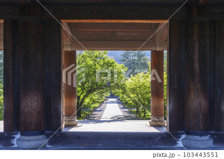 京都　早朝の南禅寺三門から法堂を望む　新緑の季節 103443551