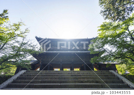 京都　早朝の南禅寺三門　新緑の季節 103443555