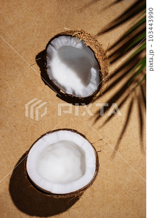 Summer tropical background with coconut and palm leaf shade.  Cracked coconut and palm leaf on beige background. Summer wallpaper. 103443990