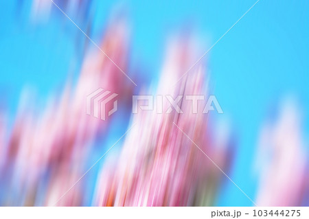 背景 背景 103444275