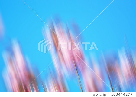 背景 背景 103444277