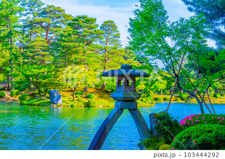 新緑の兼六園 103444292