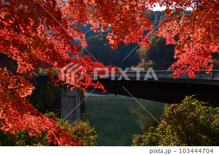もみじ湖の紅葉 もみじ湖の紅葉 103444704