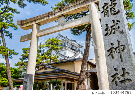 愛知 岡崎城 ~龍城神社の鳥居と天守~ 愛知 岡崎城 ~龍城神社の鳥居と天守~ 103444765
