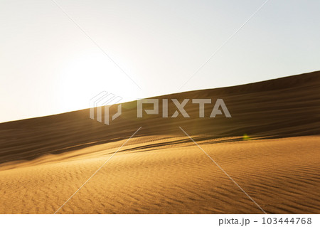 A dune landscape in the Rub al Khali or Empty Quarter at golden sunset time and nobody around 103444768