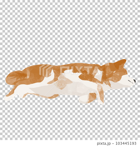 横になるかわいい柴犬のアイコン素材のイラスト素材 [103445193] - PIXTA