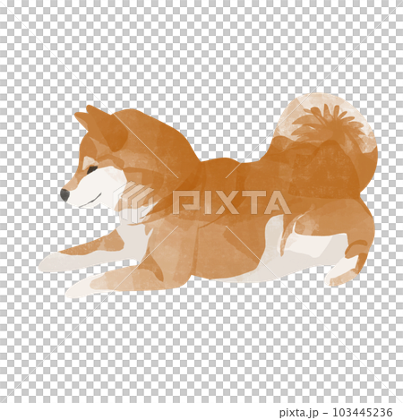 かわいい柴犬のアイコン素材、伏せのポーズ 103445236