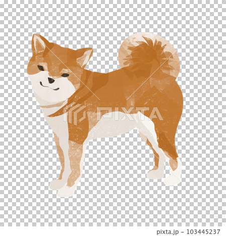 Cute pose Shiba Inu, icon material - Stock Illustration [103445237] - PIXTA