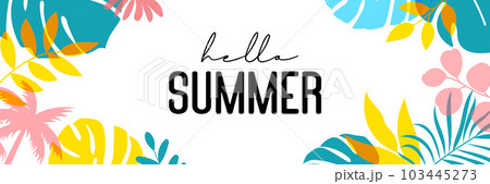 Hello summer tropical with plants and leaf decoration on background. 103445273